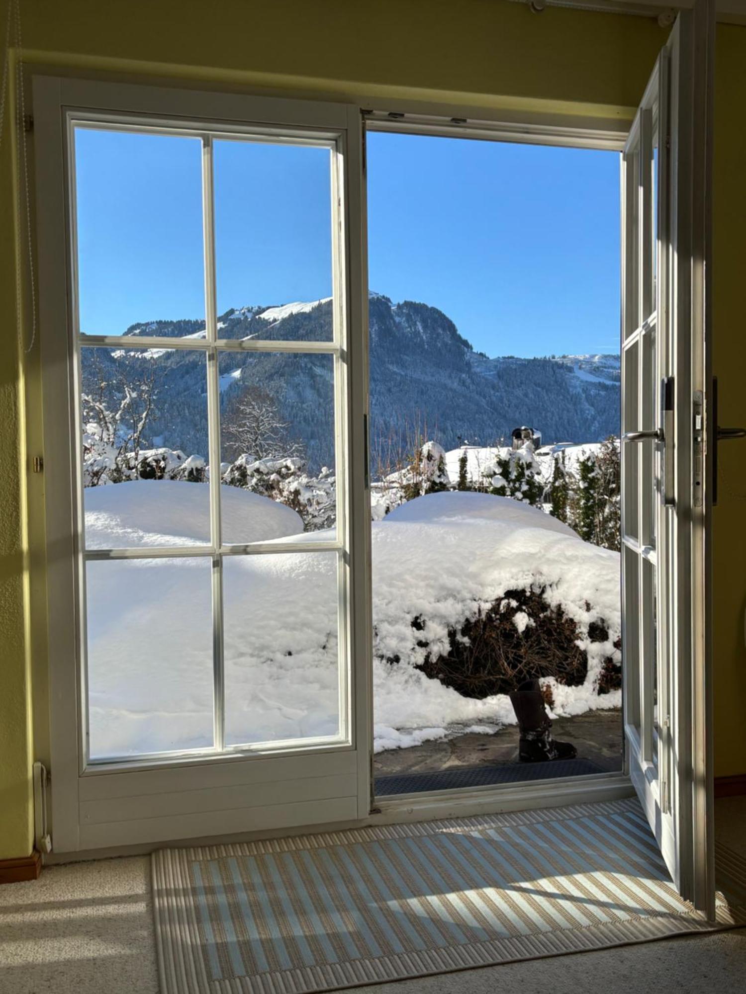 Bergblick * Kitzbuhel