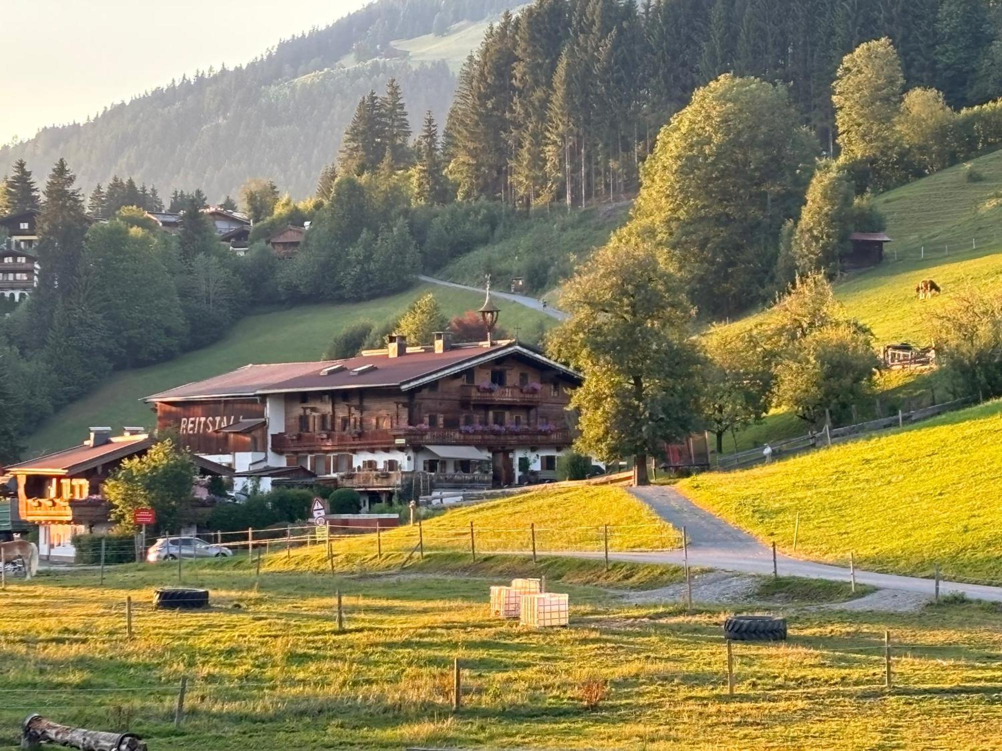 Appartement Bergblick *