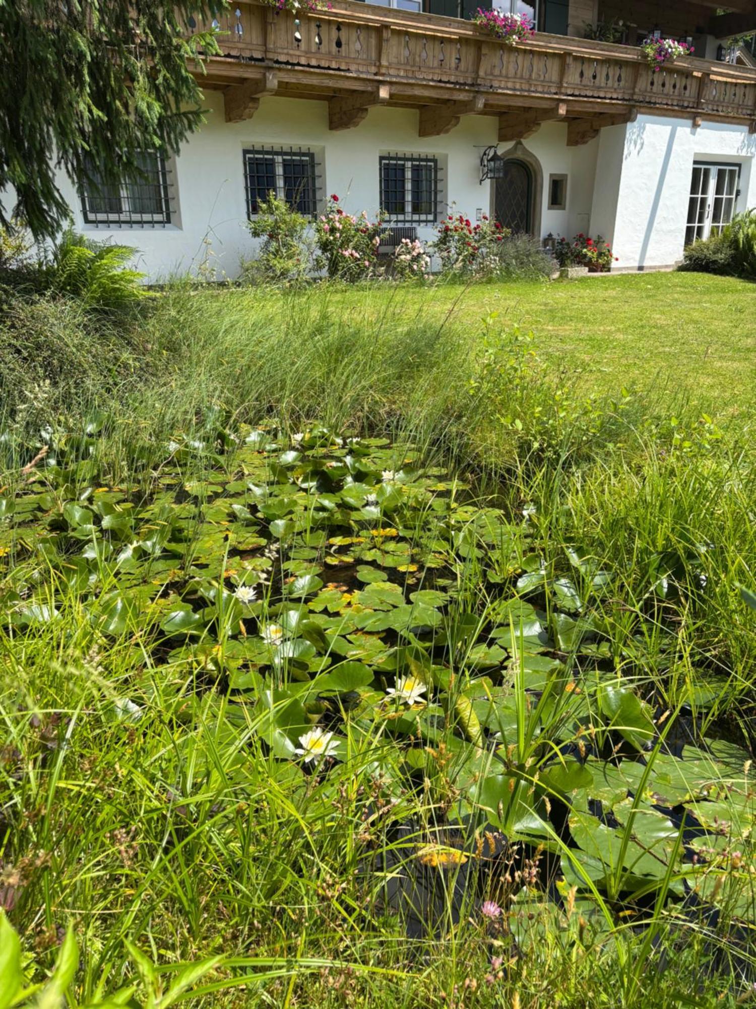 Bergblick Appartement *